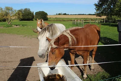 Vakantieappartement Gezinsvakantie Züssow