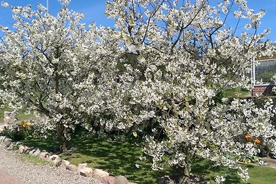 Vakantieappartement Gezinsvakantie Sierksdorf
