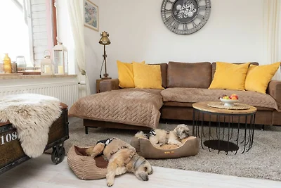 Fewo, 2 Pers., Hunde erlaubt