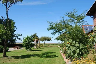 Casa vacanze Vacanza di relax Saal in Vorpommern