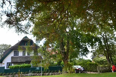 Vakantieappartement Gezinsvakantie Groß Zicker