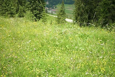 Vakantieappartement Gezinsvakantie Nesselwängle