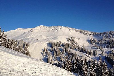 Vakantieappartement Gezinsvakantie Au in Vorarlberg