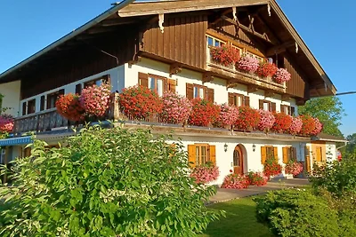 Oberlinner