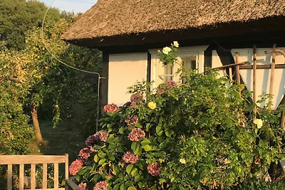 Ferienhaus Modautaler Sonnenhang