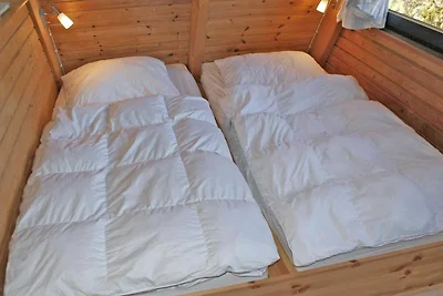 Albergo Cultura ed escursioni Damp
