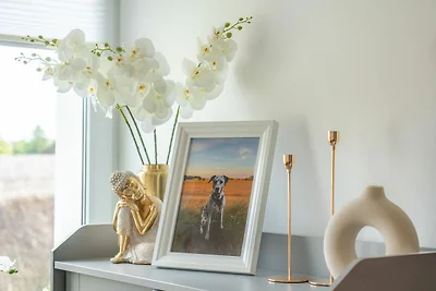 apartman za odmor Obiteljski odmor Heringsdorf