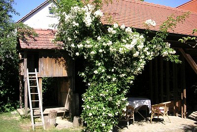 Vakantieappartement Gezinsvakantie Forchheim