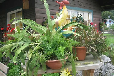 Appartamento Vacanza con famiglia Schliersee