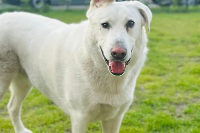 Apartamento Vacaciones familiares Barth