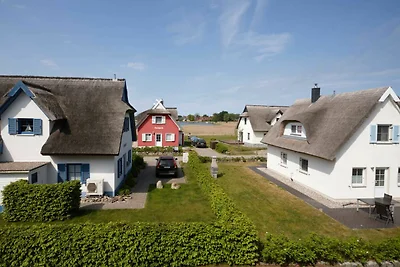 Doppelreetdachhaus Wellenläufer