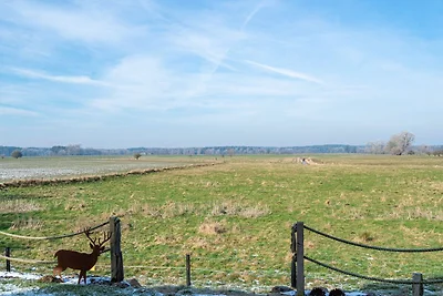 Casa vacanze Vacanza di relax Stolpe auf Usedom