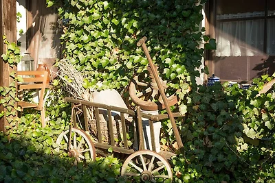 Vakantieappartement Gezinsvakantie Byhleguhre-Byhlen