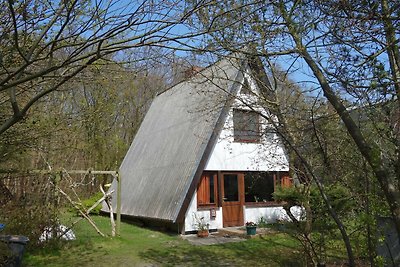 Ferienhaus Fischland Ahrenshoop