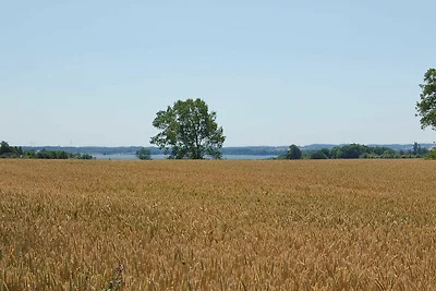Vakantieappartement Gezinsvakantie Timmendorf