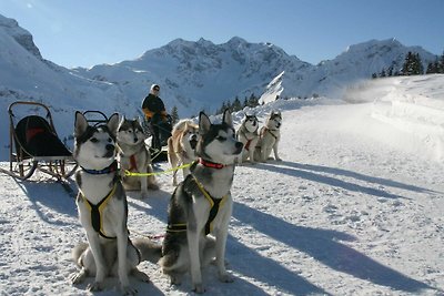 Appartamento Vacanza con famiglia Schröcken