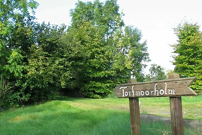 Ferienhaus Torfmoorholm