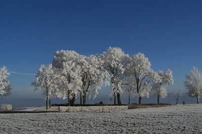 Appartamento Vacanza con famiglia Beerfelden im Odenwald