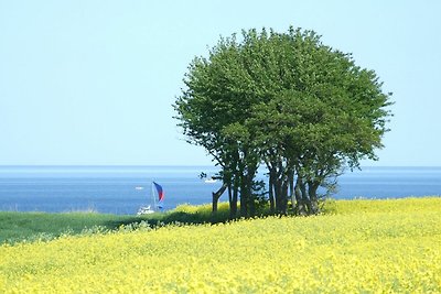 Vakantieappartement Gezinsvakantie Brodersby