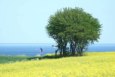 Moderne Strandnahe Ferienwohnung Tümmler
