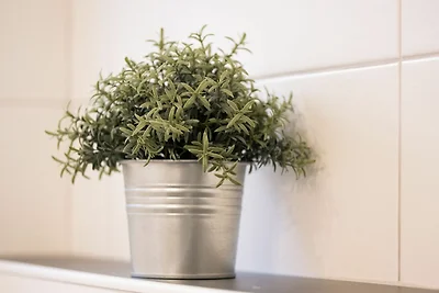 Ferienwohnung Lüttje Huus