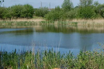 Appartamento Vacanza con famiglia Bergen auf Rügen