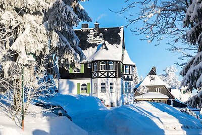 Vakantieappartement Gezinsvakantie Oberbärenburg