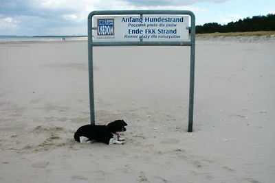 Aquamarina - Wohnung 6