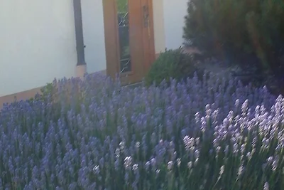 Casa vacanze Vacanza di relax Schotten