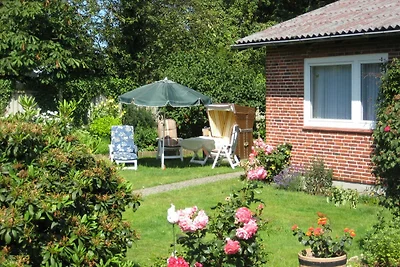 Vakantieappartement Gezinsvakantie Westerland