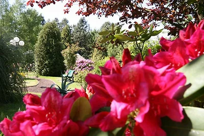 Vakantieappartement Gezinsvakantie Wiesmoor
