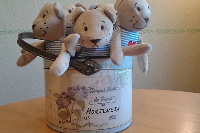 Fewo Greifswalder Oie