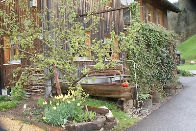 Appartamento Vacanza con famiglia Schoppernau