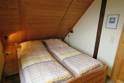 Albergo Cultura ed escursioni Hollern-Twielenfleth