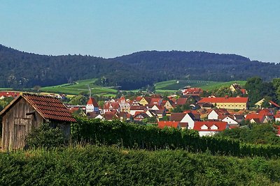 Vakantieappartement Gezinsvakantie Lehrensteinsfeld