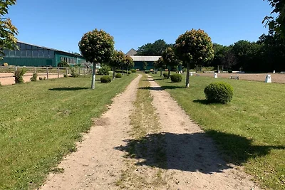 Appartamento Vacanza con famiglia Güby