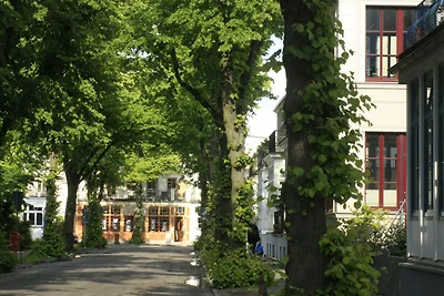 Warnemünde Meeresbrise 236004