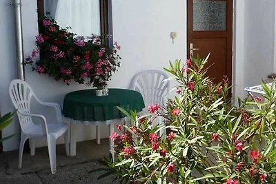 Vakantieappartement Gezinsvakantie Sellin