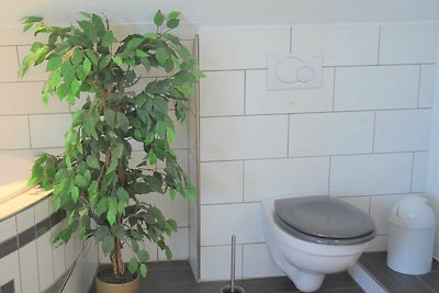 3-Raum-Ferienwohnung Bechinger, Dusche/WC, 54...