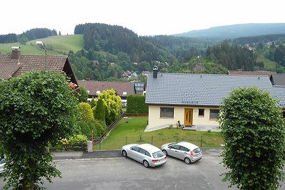 Albergo Cultura ed escursioni Altenau