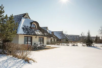 Ferienhaus Typ V