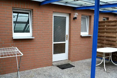 Grauer Esel E2
