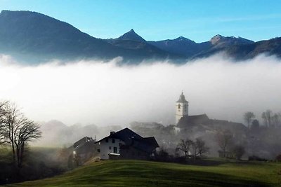 Vakantieappartement Gezinsvakantie St. Wolfgang