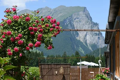 Vakantieappartement Gezinsvakantie Schoppernau