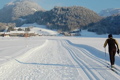 Vakantieappartement Gezinsvakantie Bezau