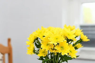 Vakantieappartement Gezinsvakantie Neuschoo