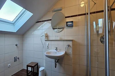 DZ 33 Max mit Balkon