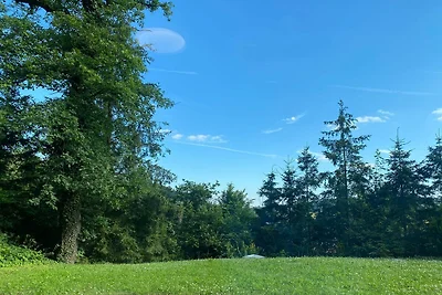 Vakantieappartement Gezinsvakantie Sangerhausen