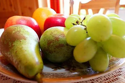 Appartamento Vacanza con famiglia Bad Dürrheim