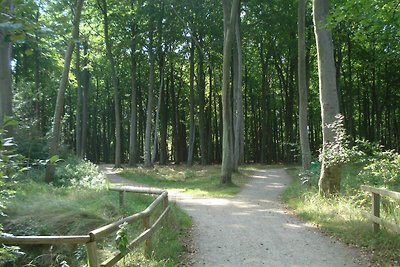 Küstenwald - Ferienzimmer kleiner Eikkater 8